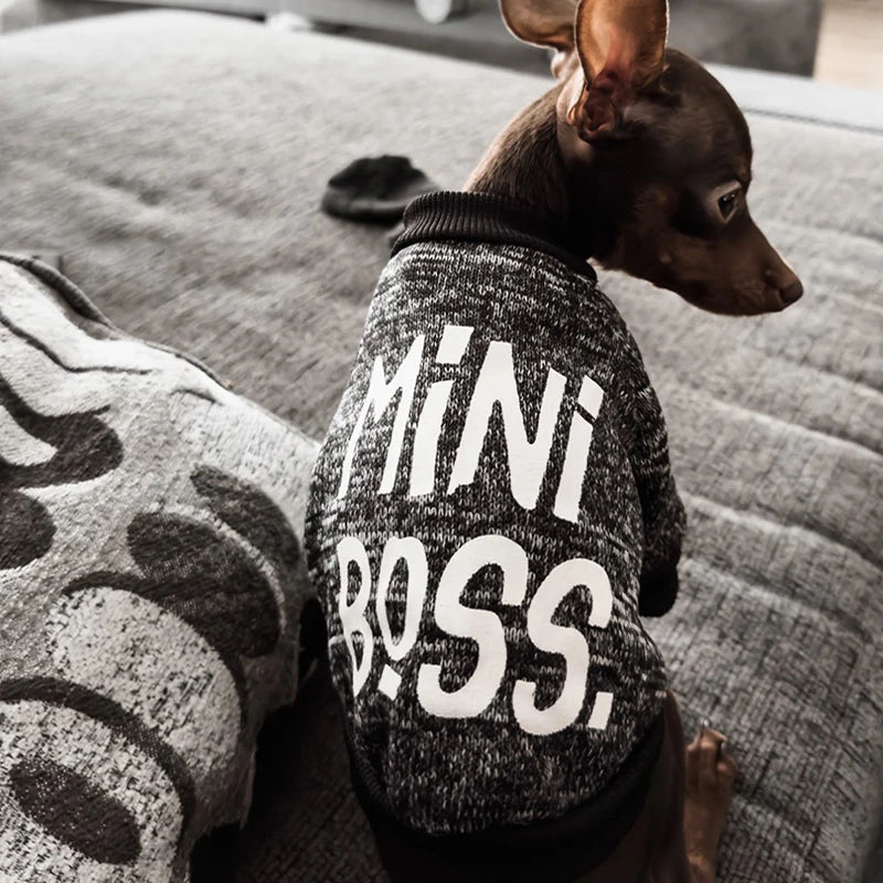 Chihuahua Dog Hoodie - Winter Costume for Small Dogs and Cats - ZOOMNSTORE