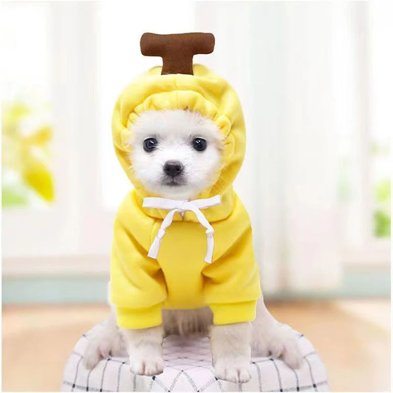 Cute Dog Hoodie - Funny Pet Costume with Hat for Halloween - ZOOMNSTORE
