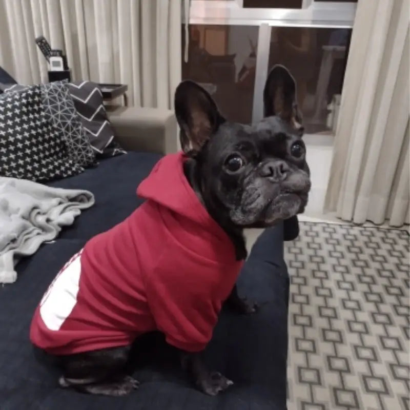 ZOOMNSTORE