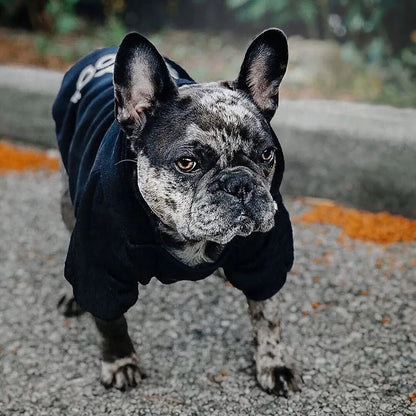 Dog Hoodie Jacket – Warm Pet Jacket Coat for Autumn Winter, Small & Large Dogs - ZOOMNSTORE