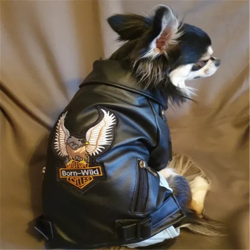 Waterproof PU Leather Dog Coat - Glorious Eagle Pattern Jacket for Small Pets - ZOOMNSTORE