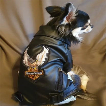 Waterproof PU Leather Dog Coat - Glorious Eagle Pattern Jacket for Small Pets - ZOOMNSTORE