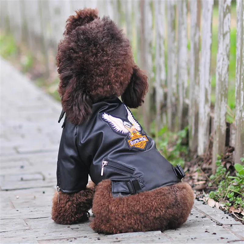 Waterproof PU Leather Dog Coat - Glorious Eagle Pattern Jacket for Small Pets - ZOOMNSTORE