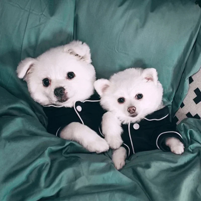 Summer Dog Pajamas - Chihuahua Pet Shirt  Small Dog Clothing - ZOOMNSTORE