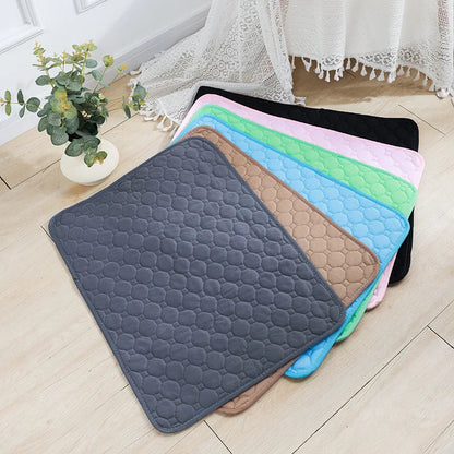 Reusable Dog Pee Pad Blanket - Washable Absorbent Puppy Training Mat  Pet Bed Urine Mat - ZOOMNSTORE