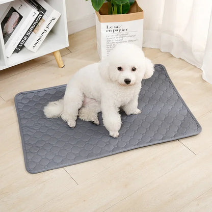 Reusable Dog Pee Pad Blanket - Washable Absorbent Puppy Training Mat  Pet Bed Urine Mat - ZOOMNSTORE