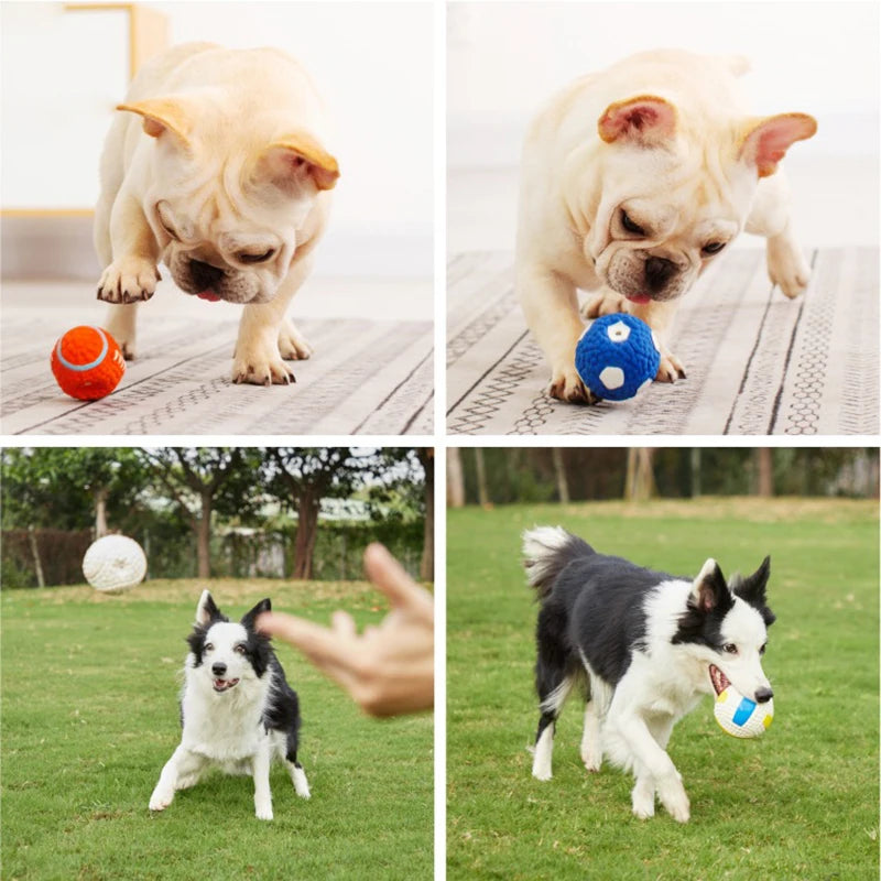 Dog Squeaky Ball - Latex Interactive Pet Toy for Small & Large Dogs | Chew & Training Ball - ZOOMNSTORE