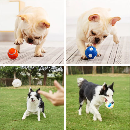 Dog Squeaky Ball - Latex Interactive Pet Toy for Small & Large Dogs | Chew & Training Ball - ZOOMNSTORE