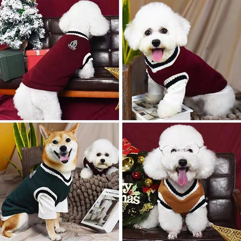 Winter Dog Sweater - V-neck Knitwear for Small Dogs and Puppies - ZOOMNSTORE