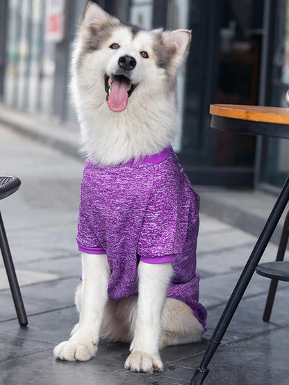 Dog Sweatshirts - Warm Medium & Large Pet Hoodies for Autumn Winter - ZOOMNSTORE