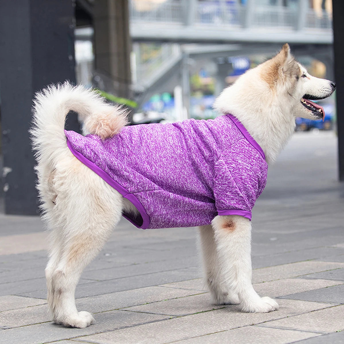 Dog Sweatshirts - Warm Medium & Large Pet Hoodies for Autumn Winter - ZOOMNSTORE
