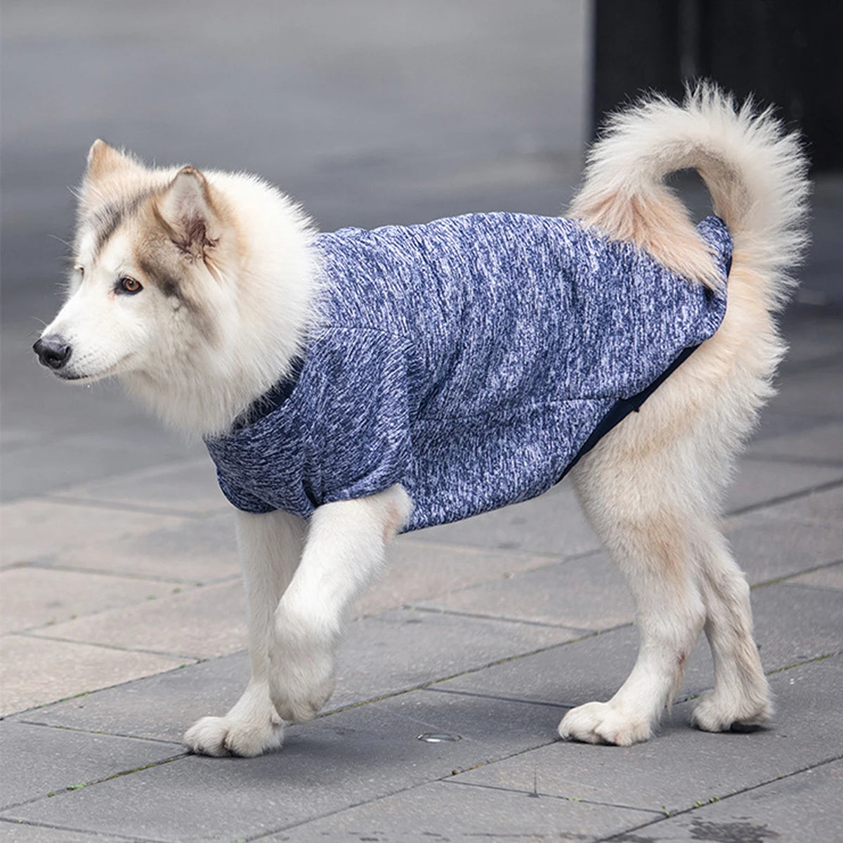 Dog Sweatshirts - Warm Medium & Large Pet Hoodies for Autumn Winter - ZOOMNSTORE