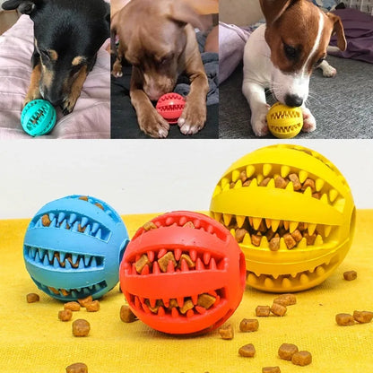 Dog Teething Toy - Durable Rubber Chew Ball & Interactive Puzzle for Training - ZOOMNSTORE