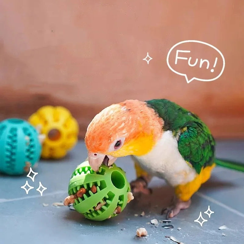 Dog Teething Toy - Durable Rubber Chew Ball & Interactive Puzzle for Training - ZOOMNSTORE