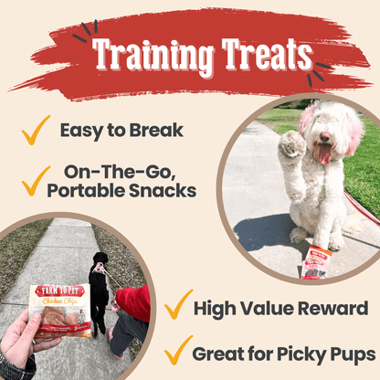 Snack Pack Dog Treat Sampler - ZOOMNSTORE