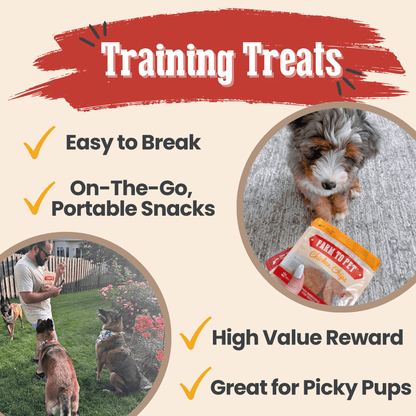 Snack Pack Dog Treat Sampler - ZOOMNSTORE