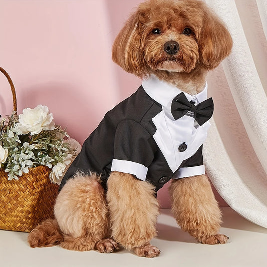 Formal Dog Shirt with Bow Tie - Wedding Outfit for Small Dogs - ZOOMNSTORE