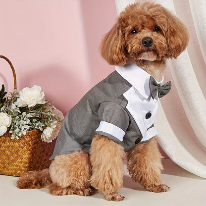 Formal Dog Shirt with Bow Tie - Wedding Outfit for Small Dogs - ZOOMNSTORE