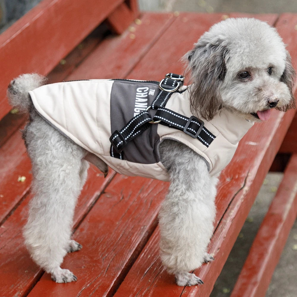 Dog Windbreaker Jacket - Waterproof Fleece Coat with Dual D Leash Attachment - ZOOMNSTORE