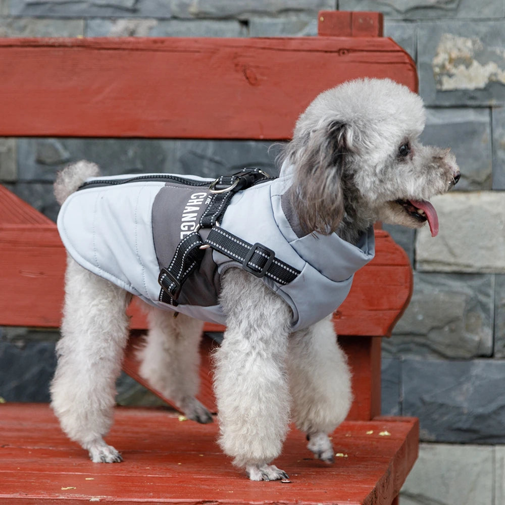 Dog Windbreaker Jacket - Waterproof Fleece Coat with Dual D Leash Attachment - ZOOMNSTORE