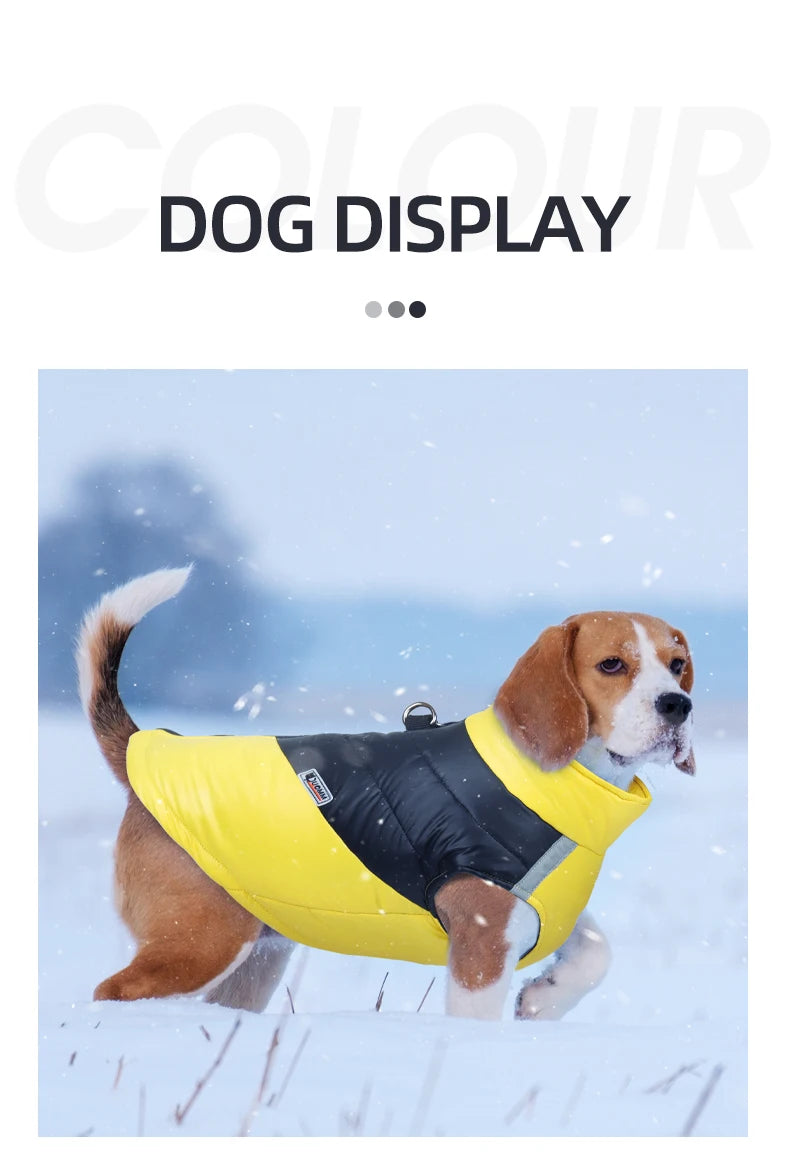 ZOOMNSTORE