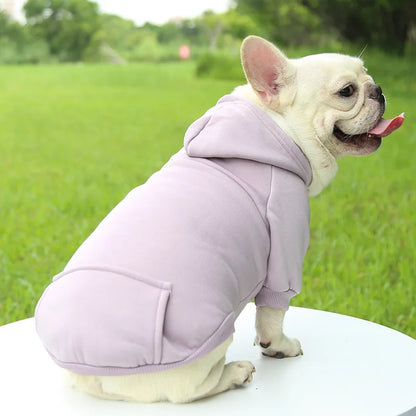 Dog Winter Hoodie - Warm Pet Sweatshirt for Small Medium Dogs and Cats - ZOOMNSTORE