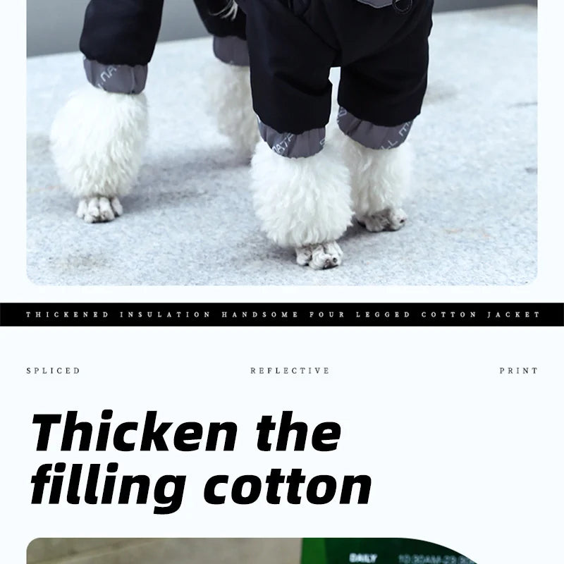 ZOOMNSTORE