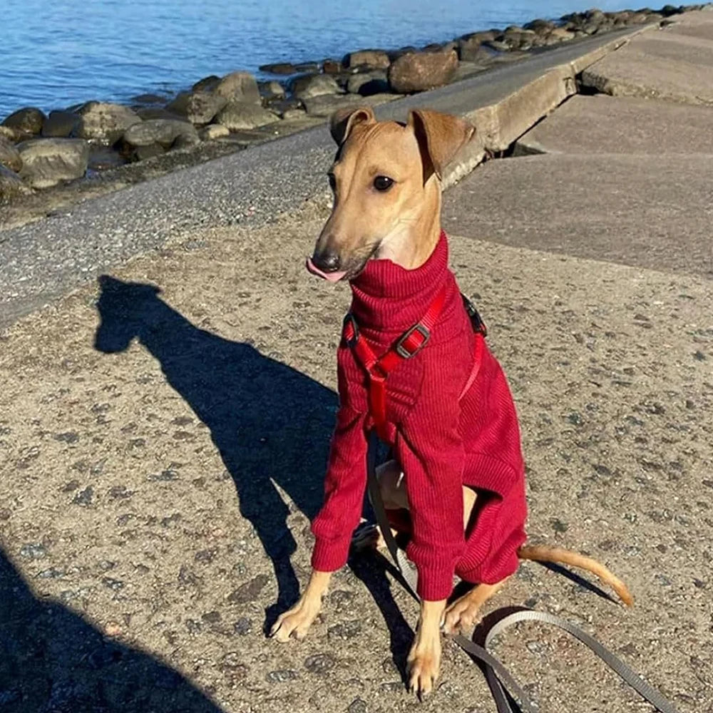 Dog Winter Overalls - Lightweight Turtleneck Dog Onesie for Medium Large Dogs - ZOOMNSTORE