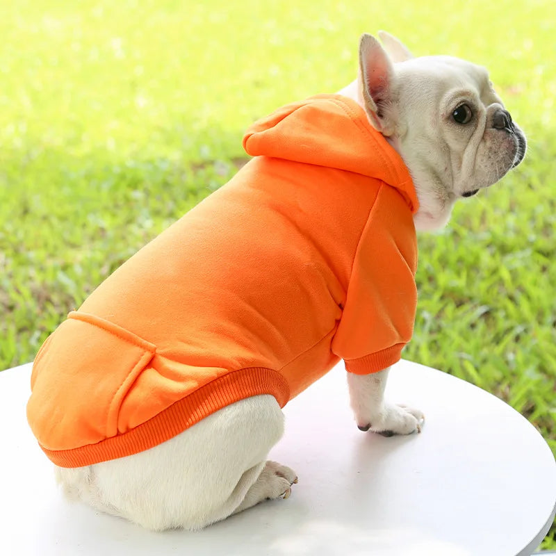 Dog Winter Hoodie - Warm Pet Sweatshirt for Small Medium Dogs and Cats - ZOOMNSTORE