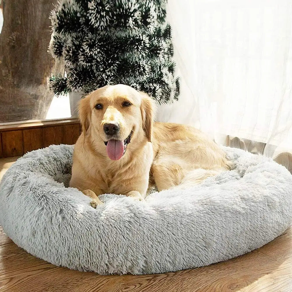 Donut Dog Bed - Soft Plush Pet Bed With Raised Rim, Warm Washable Cushion - ZOOMNSTORE