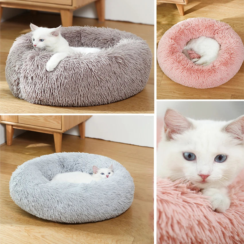 Donut Dog Bed - Soft Plush Pet Bed With Raised Rim, Warm Washable Cushion - ZOOMNSTORE