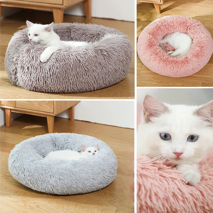 Donut Dog Bed - Soft Plush Pet Bed With Raised Rim, Warm Washable Cushion - ZOOMNSTORE