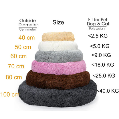 Donut Dog Bed - Soft Plush Pet Bed With Raised Rim, Warm Washable Cushion - ZOOMNSTORE
