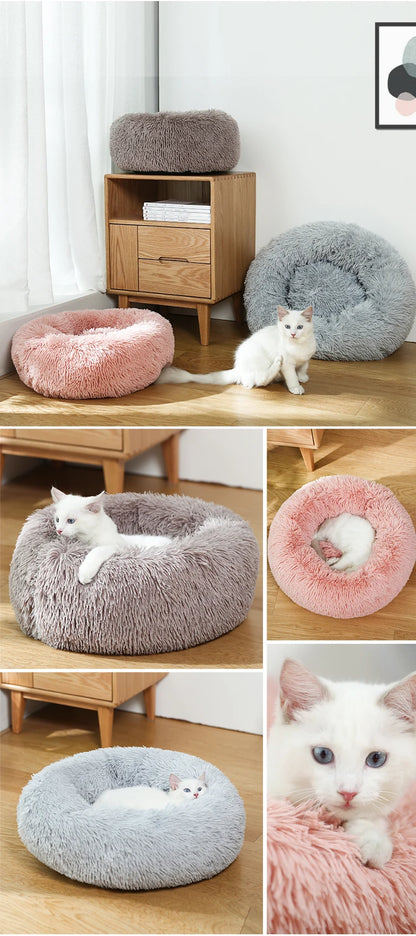 Donut Dog Bed - Soft Plush Pet Bed With Raised Rim, Warm Washable Cushion - ZOOMNSTORE