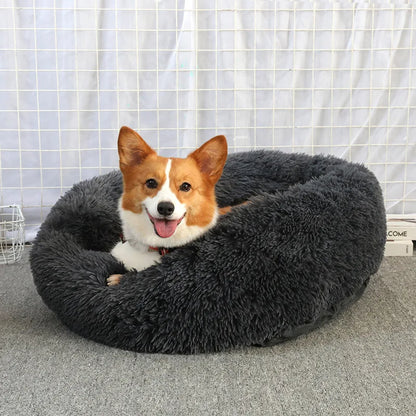 Donut Dog Bed - Soft Plush Pet Bed With Raised Rim, Warm Washable Cushion - ZOOMNSTORE