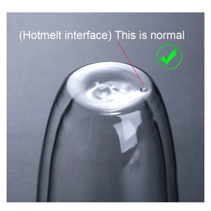 Double Wall Glass Cup - Heat Resistant Borosilicate Insulated Drinkware Mug 250ml - ZOOMNSTORE