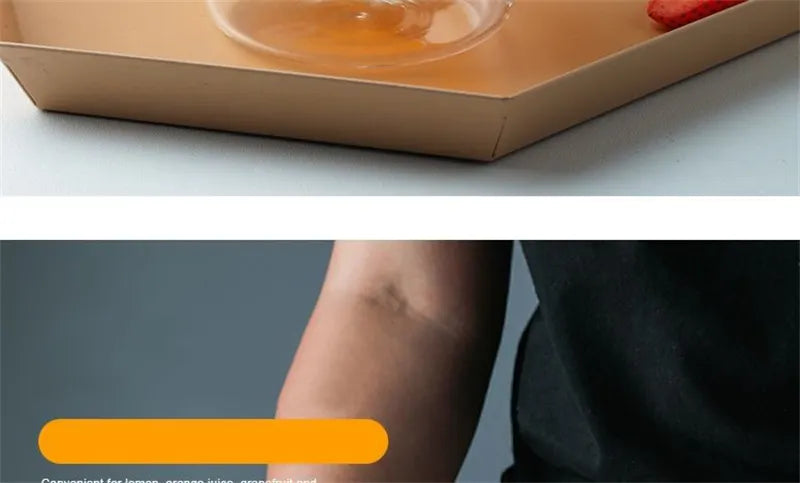 Double Wall Glass Mug - Cute Animal Drinkware | Insulated Borosilicate Cup - ZOOMNSTORE