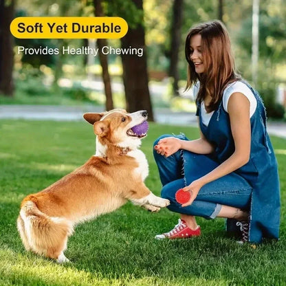 Durable Squeaky Dog Toys - 3 Pack BPA Free Balls for Teeth Cleaning and Training - ZOOMNSTORE
