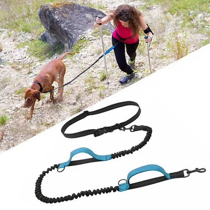 Hands-Free Dog Leash - Dual Elastic Reflective Traction Rope for Night Running - ZOOMNSTORE