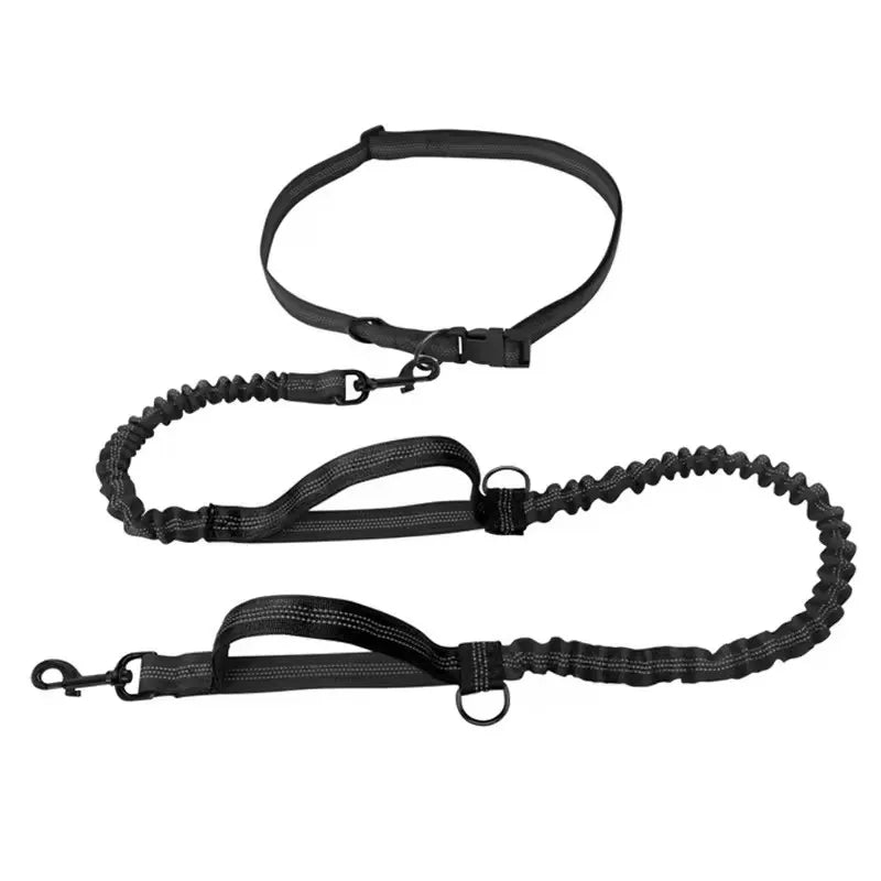 Hands-Free Dog Leash - Dual Elastic Reflective Traction Rope for Night Running - ZOOMNSTORE