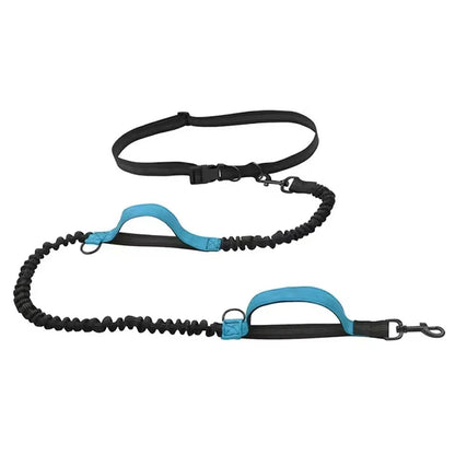 Hands-Free Dog Leash - Dual Elastic Reflective Traction Rope for Night Running - ZOOMNSTORE