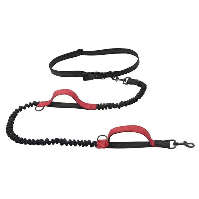 Hands-Free Dog Leash - Dual Elastic Reflective Traction Rope for Night Running - ZOOMNSTORE
