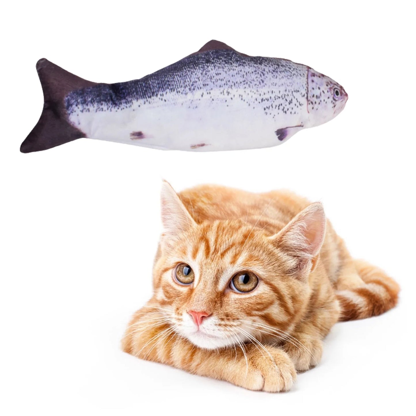 Electric Cat Toy - Interactive Floppy Fish USB Charger | Realistic Cat Chew Plaything - ZOOMNSTORE