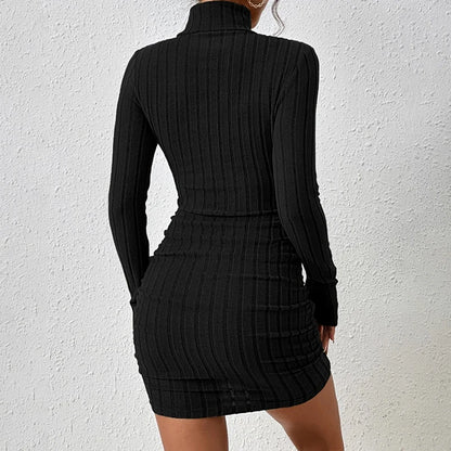 Elegant Turtleneck Mini Dress - Womens Bodycon Club Dress for Autumn Winter - ZOOMNSTORE