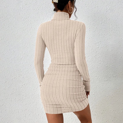 Elegant Turtleneck Mini Dress - Womens Bodycon Club Dress for Autumn Winter - ZOOMNSTORE