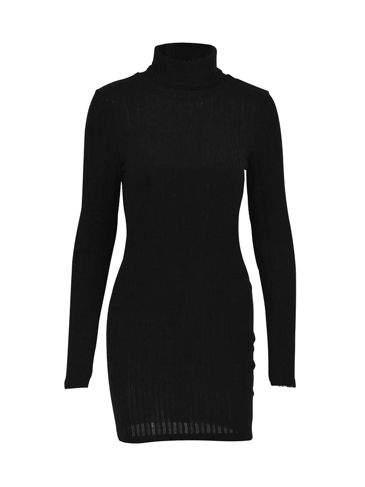 Elegant Turtleneck Mini Dress - Womens Bodycon Club Dress for Autumn Winter - ZOOMNSTORE