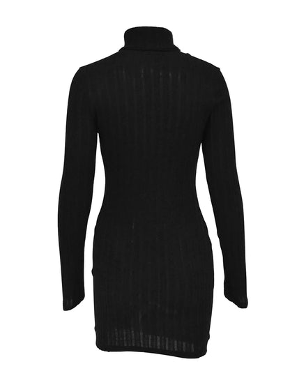 Elegant Turtleneck Mini Dress - Womens Bodycon Club Dress for Autumn Winter - ZOOMNSTORE