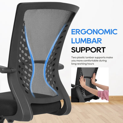 Ergonomic Office Chair - Mesh Desk Chair with Lumbar Support & Adjustable Height - ZOOMNSTORE