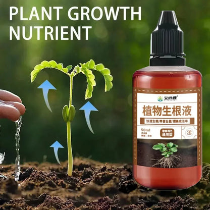 Fast Rooting Stimulator - Rapid Rooting Agent for Houseplants and Gardens - ZOOMNSTORE