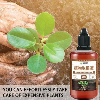 Fast Rooting Stimulator - Rapid Rooting Agent for Houseplants and Gardens - ZOOMNSTORE